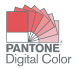 Pantone Terms